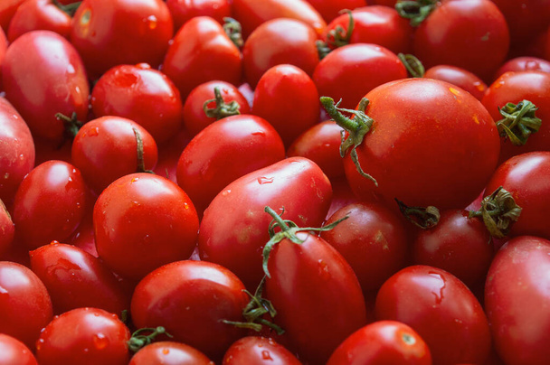 Ripe red tomatoes with water drops close-up in large quantity - Zdjęcie, obraz