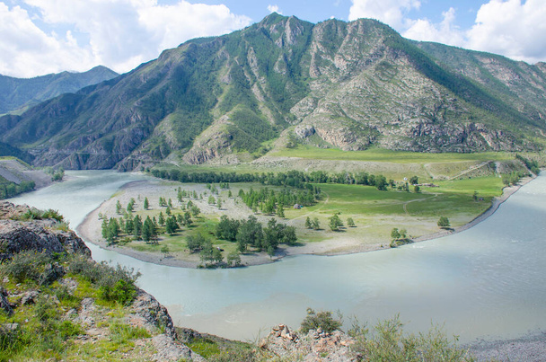 Beautiful landscape of mountain river in Altai in Russia - Zdjęcie, obraz
