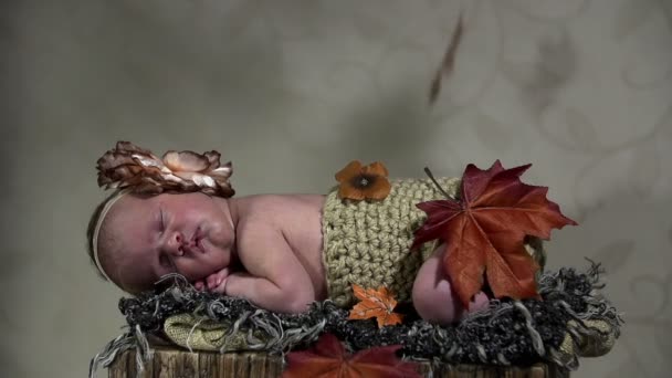 Bambino addormentato con foglie autunnali cadenti
 - Filmati, video