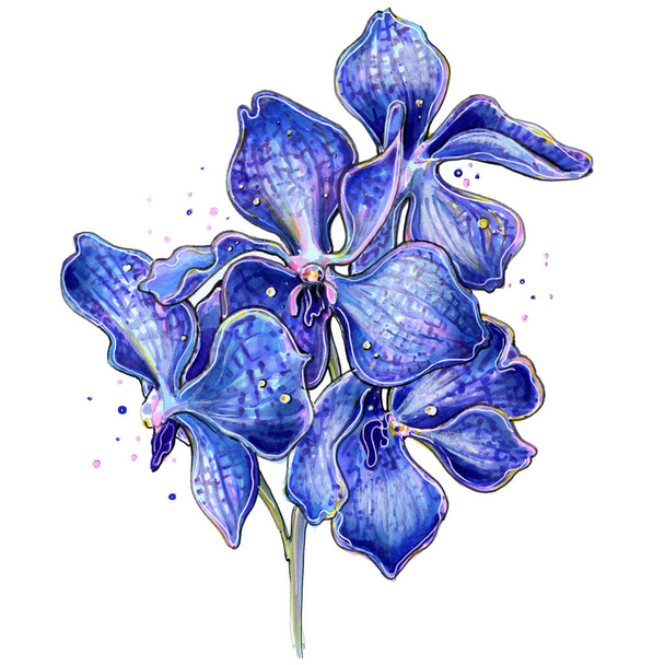flower deep blue orchid vanda markers illustration - Fotoğraf, Görsel