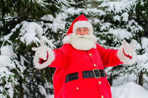 Santa claus greets in the snowy coniferous forest in December. Christmas time. An elderly gray-haired man in a Santa Claus costume posing outdoors. - Фото, изображение