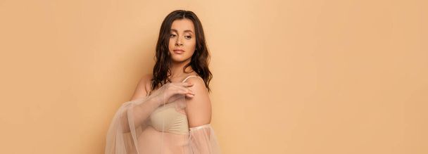 young pregnant woman in underwear and chiffon sleeves touching shoulder while posing on beige, horizontal image - Zdjęcie, obraz