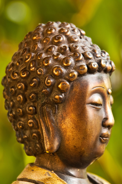 Buddha - Fotó, kép