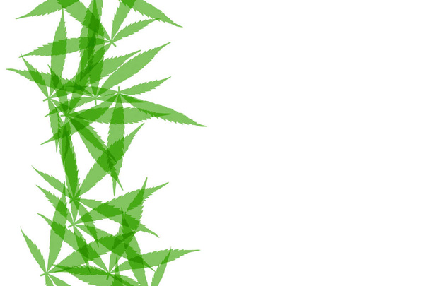 Groene cannabis laat de achtergrond achter. Drug marihuana kruid bladeren vormen met copyspace voor tekst - Foto, afbeelding