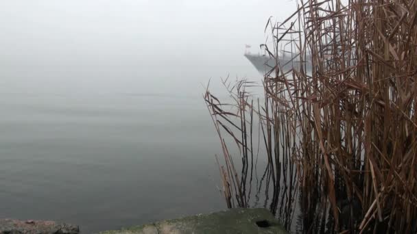 okręt pojawia się z mgły - Materiał filmowy, wideo