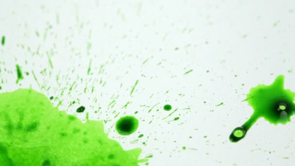 白い紙の上の緑の滴 - 映像、動画