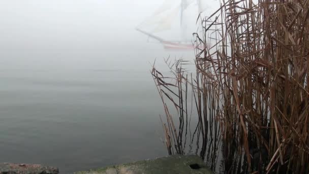 zeilboot in volledige zeil komt uit mist - Video