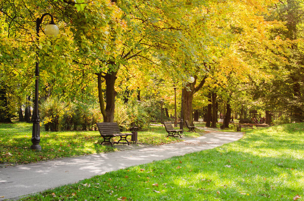 Park miejski jesienią. Jesienny krajobraz. Piękny jesienny park przy słonecznej pogodzie. - Zdjęcie, obraz
