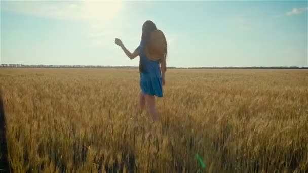 Mladá dlouhosrstá žena s kloboukem chůze ve žluté pšeničné pole při cestování a dobrodružství - Záběry, video