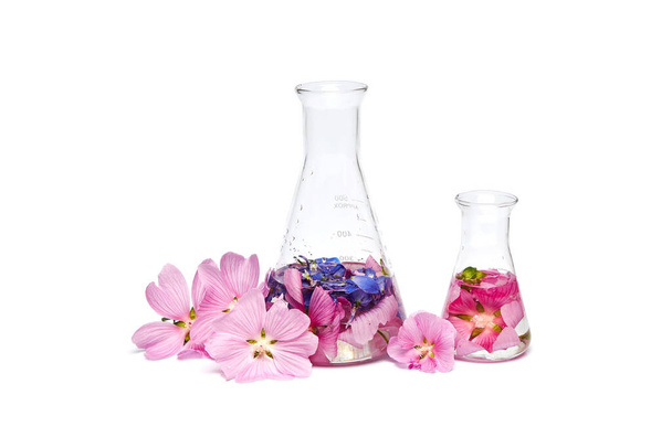 Beauty product in a bottle natural cosmetics, herbal organic extract from flower petals. Scientific experiment. Hand cosmetics made of pink flowers - 写真・画像