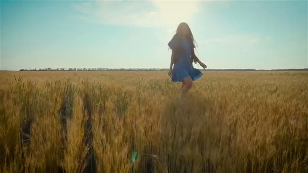 Woman in dress walks through wheat field at shinedown bathed in golden rays of sun - Footage, Video