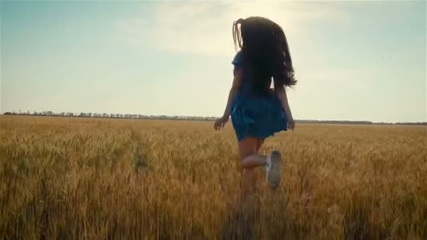 Młoda dziewczyna szczęśliwie biegnie przez pole pszenicy lub jęczmienia z długimi ciemnymi włosami o zachodzie słońca w zwolnionym tempie - Materiał filmowy, wideo