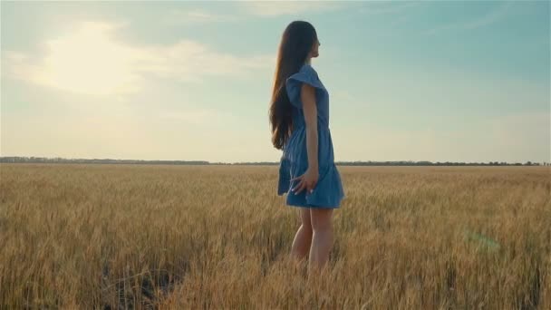 Hübsche Frau in stylischem Tuch, die im Feld spaziert und sich bei Sonnenuntergang mit charmantem Lächeln herumdreht - Filmmaterial, Video
