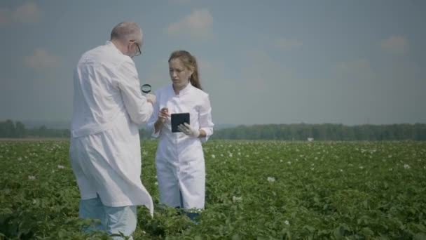 Bilim adamları tarım alanında çalışıyorlar - Video, Çekim