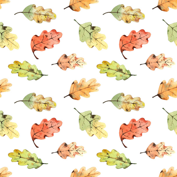 Pattern with watercolor oak leaves. On a white background - Photo, image