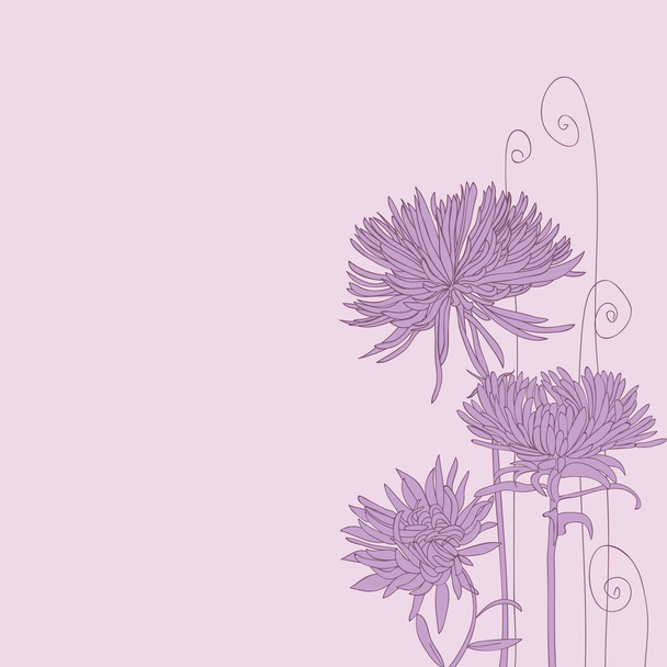 paarse achtergrond met bloem asters. - Vector, afbeelding