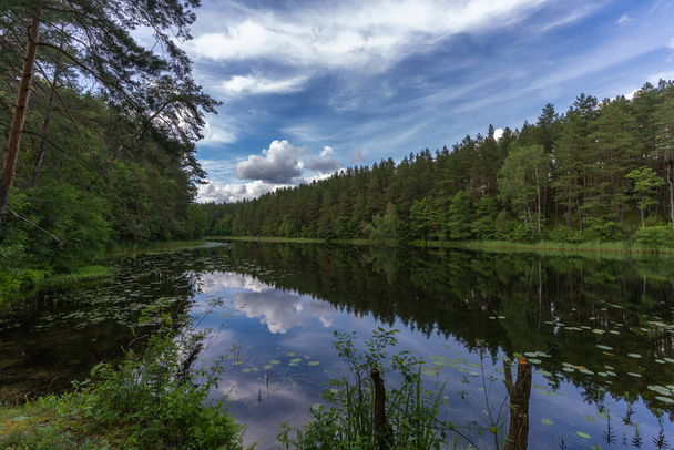 Impresionantes paisajes junto al lago en el Parque Nacional Aukstaitija, Lituania. Primer parque nacional de Lituania. - Foto, imagen