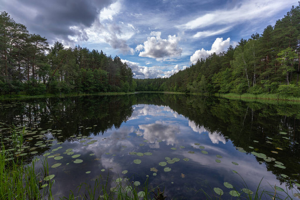 Impresionantes paisajes junto al lago en el Parque Nacional Aukstaitija, Lituania. Primer parque nacional de Lituania. - Foto, imagen