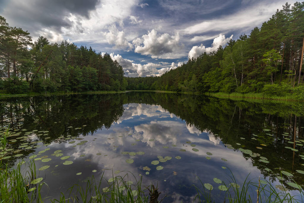 Wspaniałe krajobrazy nad jeziorem w Parku Narodowym Aukstaitija, Litwa. Pierwszy litewski park narodowy. - Zdjęcie, obraz