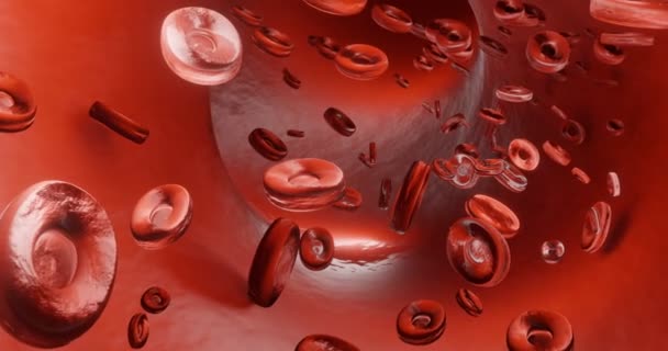 Erytrocyten of rode bloedcellen. Het is het belangrijkste bestanddeel van het bloed dat verantwoordelijk is voor het toedienen van zuurstof en het voorkomen en elimineren van het pathogeen Corona virus COVID-19. Medische illustratie. 3D-weergave. - Video