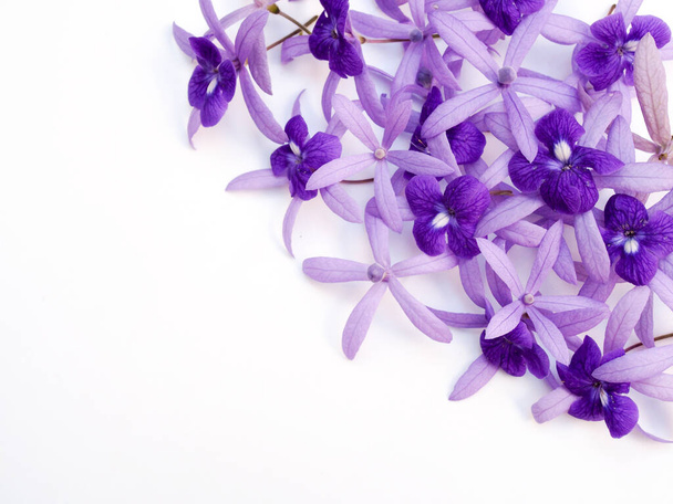 kevät kukka raja terälehtiä petrea volubilis tai violetti seppele kukka eristetty valkoisella pohjalla. - Valokuva, kuva