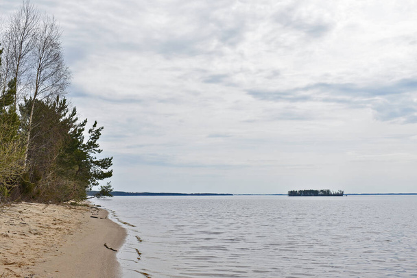 Volga River coast in summer - Fotó, kép