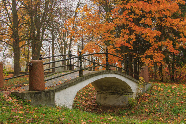 most w jesiennym parku - Zdjęcie, obraz