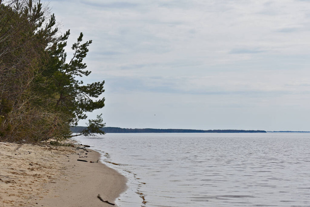 Volga River coast in summer - Fotó, kép
