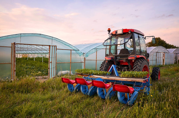 Manual seedling planter mounted to a tractor in front of greenhouses at sunset. - Foto, immagini