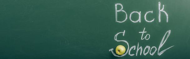 top view of back to school lettering near ripe apple on green chalkboard, panoramic shot - Photo, Image