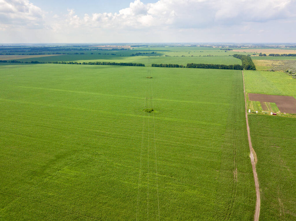 Ligne électrique à travers un champ de maïs en Ukraine. Vue aérienne du drone. - Photo, image