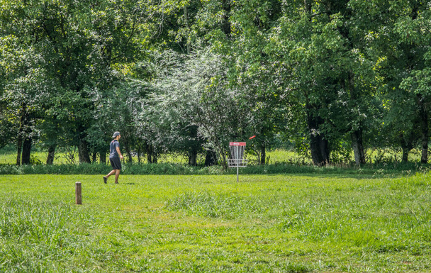 Facet w niewyraźnym ruchu wrzuca frisbee do kosza golfowego w parku z lasami w tle w upalny słoneczny dzień latem. - Zdjęcie, obraz