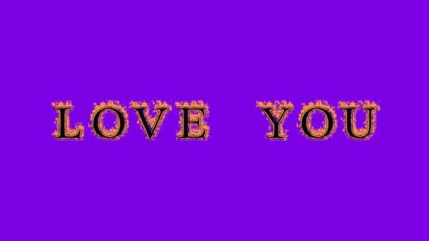 love you fire text effect fialové pozadí. animovaný textový efekt s vysokým vizuálním dopadem. efekt dopisu a textu. Alpha Matte. - Záběry, video