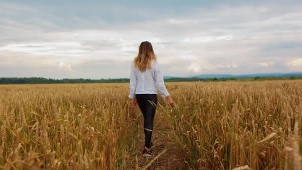Młoda dziewczyna przechodząca przez uszy pszenicy polnej. Piękna beztroska kobieta ciesząca się przyrodą i dotykając ręką na polu pszenicy - Materiał filmowy, wideo