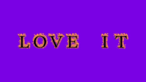 love it fire text effect violet background. animated text effect with high visual impact. letter and text effect. Alpha Matte. - Footage, Video