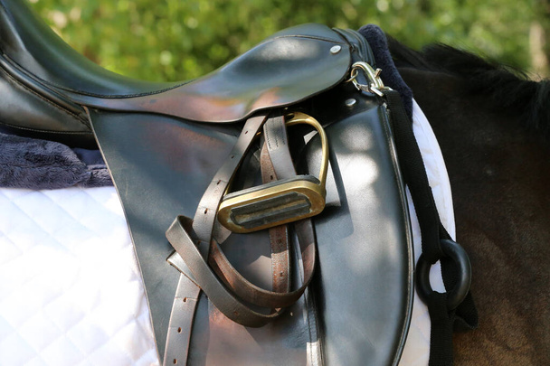 Спортивный конь крупным планом и старое кожаное седло, готовое к выездке. Конный спорт - Фото, изображение