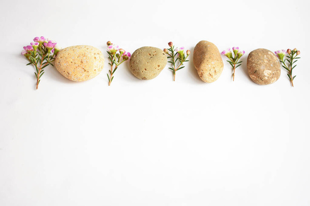 Abstract rocks pebbles and flowers in white background, top view, Australian native wild flower pastel pink Geraldton Wax chameleucium uncinatum, spa concept, peace, relax, meditation, healthy life - Photo, Image