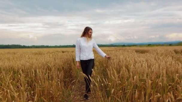Młoda dziewczyna przechodząca przez uszy pszenicy polnej. Piękna beztroska kobieta ciesząca się przyrodą i dotykając ręką na polu pszenicy - Materiał filmowy, wideo