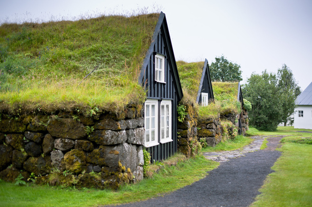 Overgrown Typical Rural Icelandic house at overcast day - Photo, Image