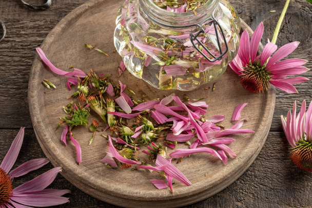 Подготовка алкогольной настойки из свежих цветов эхинацеи - разрезание растения - Фото, изображение