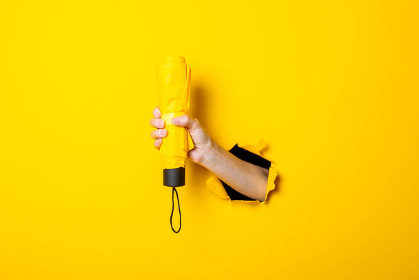 Female hand holds a yellow umbrella on a yellow background. Rain concept. - Photo, Image