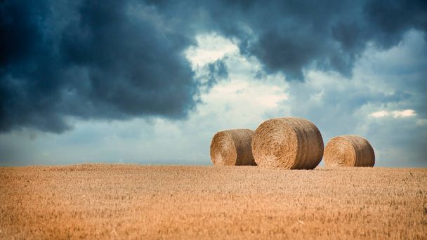 Bouřkové mraky v horkém letním dni na pšeničném poli. - Fotografie, Obrázek