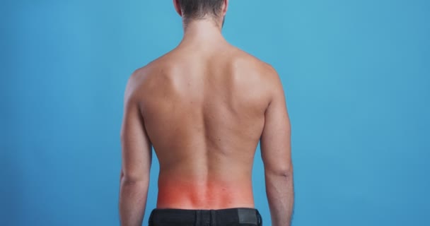 Человек, страдающий от боли в спине, красной пульсирующей воспаленной зоны - Кадры, видео