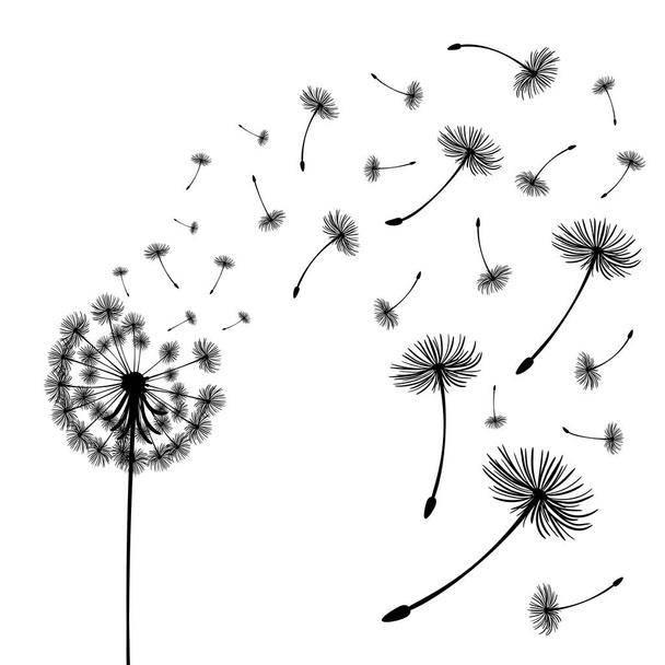 Διάνυσμα εικονογράφηση ώρα πικραλίδα. Δύο πικραλίδες που φυσούν στον άνεμο. Ο άνεμος φουσκώνει μια πικραλίδα απομονωμένη λευκό φόντο - Διάνυσμα, εικόνα