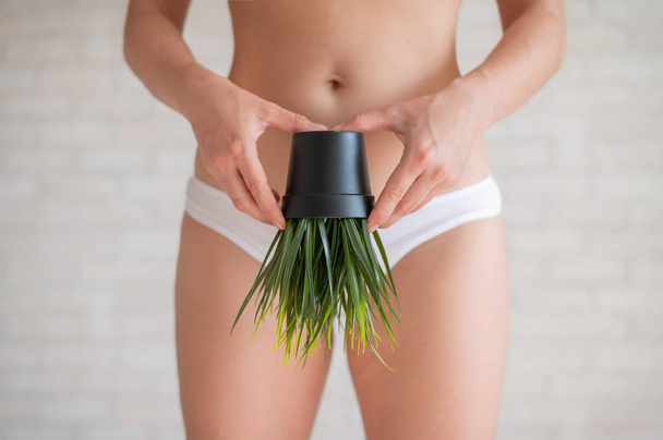 Bikini area depilation. Advertising Brazilian laser bikini line hair removal. A woman in white underwear is holding a potted plant. Epilation of vegetation in the intimate zone. - Photo, Image