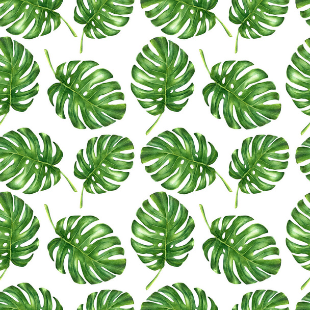 Hand painted watercolor  monstera leaves seamless pattern on white background. Tropical background. - Valokuva, kuva