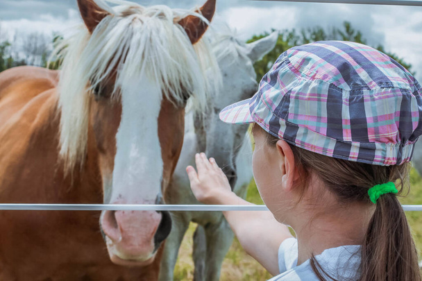 Horses in a farm. Girl is touching horses - Photo, Image