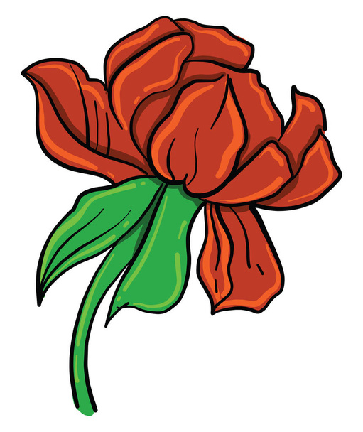 Flor roja, ilustración, vector sobre fondo blanco
 - Vector, Imagen