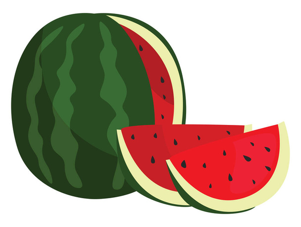 Saftige Wassermelone, Illustration, Vektor auf weißem Hintergrund - Vektor, Bild