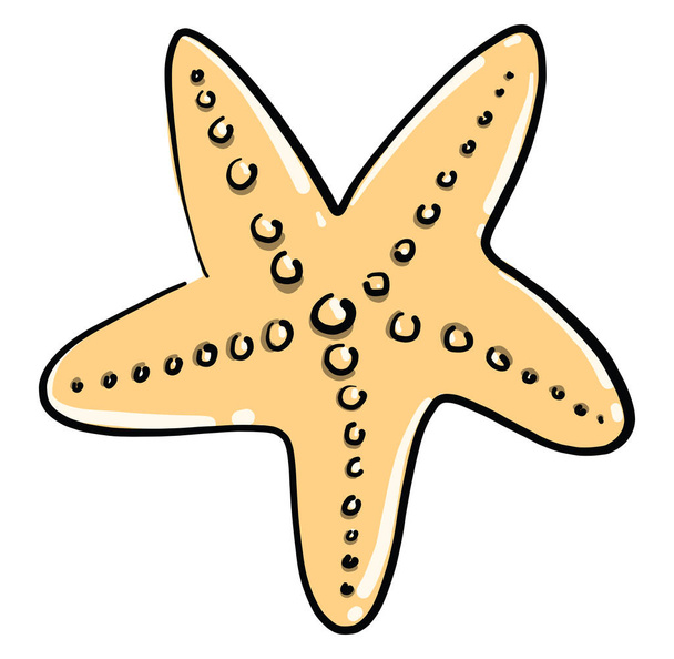 Small sea star, illustration, vector on white background - Vector, Image